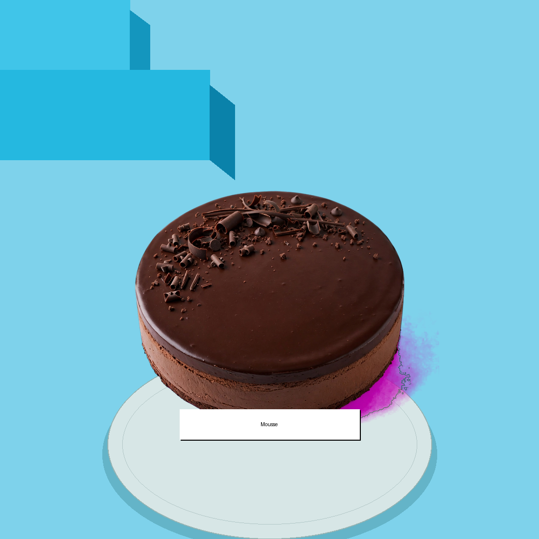 Mousse Cake